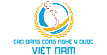 YDC